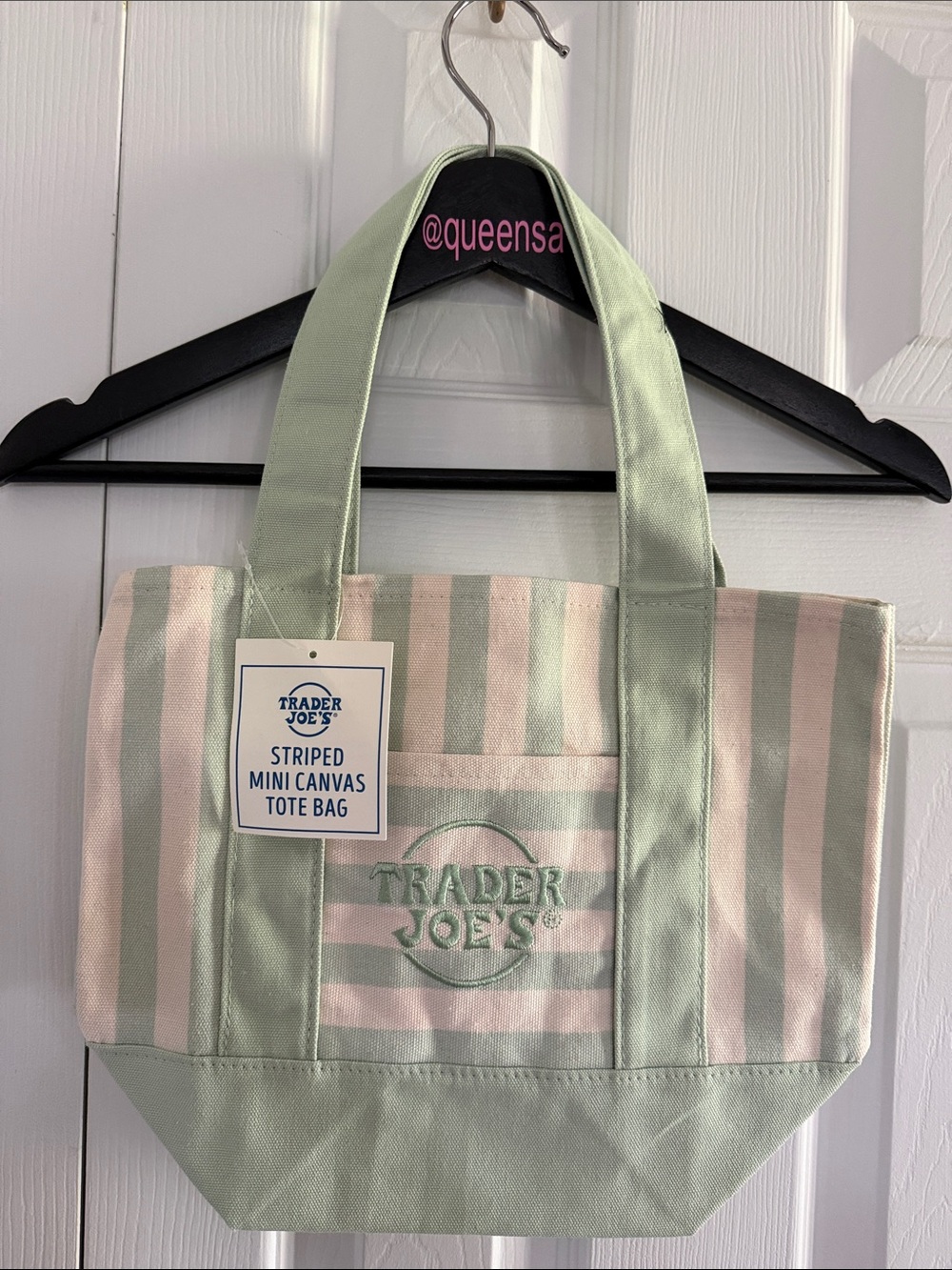 Trader Joe’s Striped Mint Green Mini Canvas Tote Bag